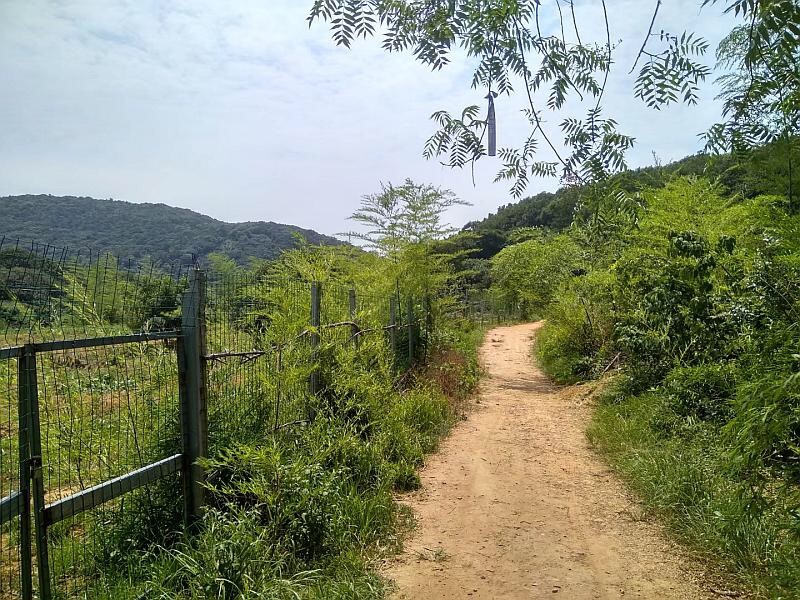 自動(dòng)化檢測(cè)設(shè)備廠家軍嶂古道